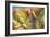 Through the Leaves I-Patricia Pinto-Framed Premium Giclee Print