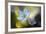 Through the Light-Heidi Westum-Framed Photographic Print