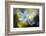 Through the Light-Heidi Westum-Framed Photographic Print