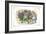 Through the Looking Glass: Tweedledum's Fuss-John Tenniel-Framed Art Print