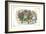 Through the Looking Glass: Tweedledum's Fuss-John Tenniel-Framed Art Print