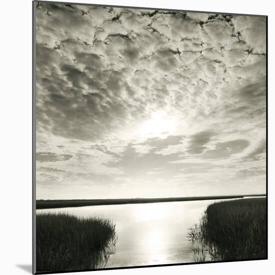 Through The Marsh-Michael Kahn-Mounted Giclee Print