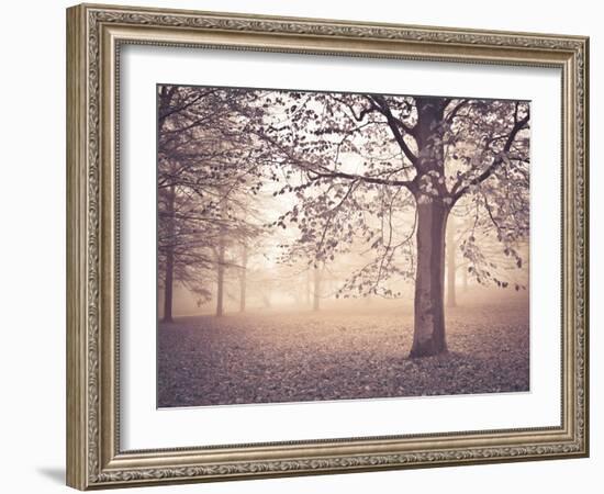 Through the Mist-Assaf Frank-Framed Giclee Print