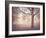 Through the Mist-Assaf Frank-Framed Giclee Print