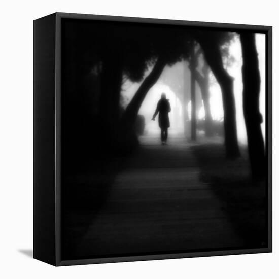 Through the Mist-Sharon Wish-Framed Premier Image Canvas