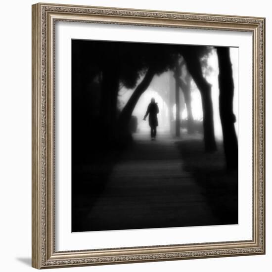 Through the Mist-Sharon Wish-Framed Photographic Print