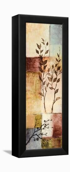 Through the Seasons II-Michael Marcon-Framed Stretched Canvas