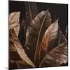 Through the Sepia Leaves I-Patricia Pinto-Mounted Art Print