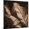 Through the Sepia Leaves II-Patricia Pinto-Mounted Art Print