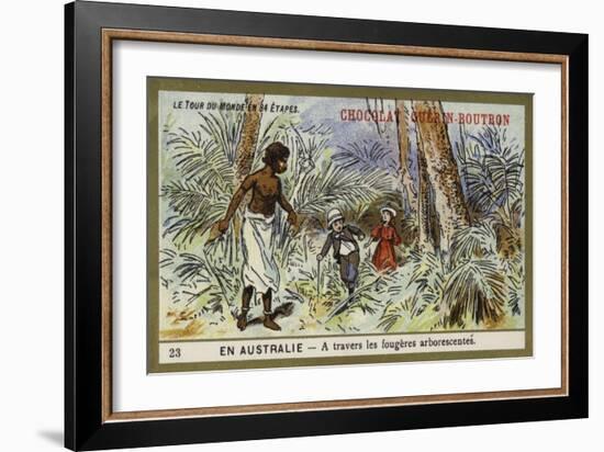 Through the Tree Ferns, Australia-null-Framed Giclee Print