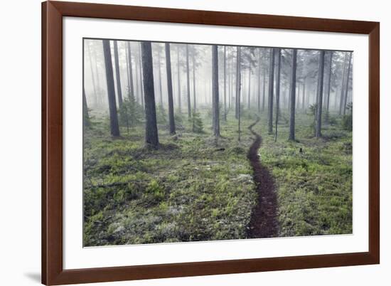 Through the Trees-Andreas Stridsberg-Framed Giclee Print