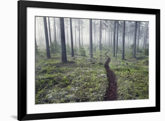 Through the Trees-Andreas Stridsberg-Framed Giclee Print