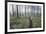 Through the Trees-Andreas Stridsberg-Framed Giclee Print