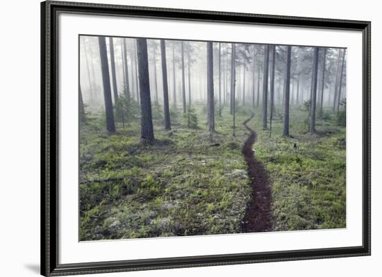 Through the Trees-Andreas Stridsberg-Framed Giclee Print