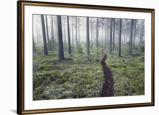 Through the Trees-Andreas Stridsberg-Framed Giclee Print