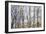 Through the Trees-Sharon Pitts-Framed Giclee Print