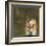 Through the Window-Terri Burris-Framed Giclee Print