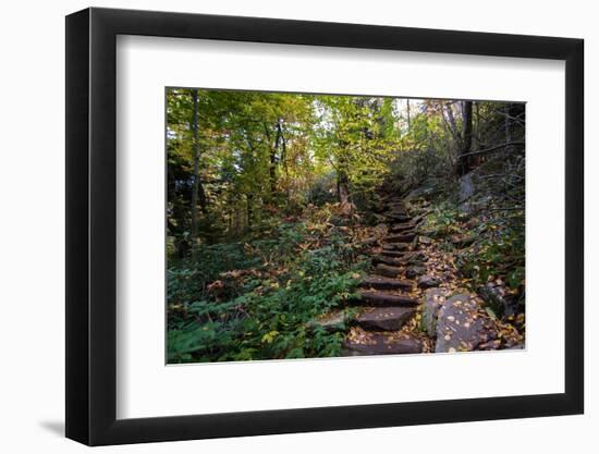 Through the Woods-EarthCaptured-Framed Photographic Print