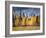 Through the Yellow Trees I-David Drost-Framed Photographic Print