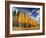 Through the Yellow Trees II-David Drost-Framed Photographic Print