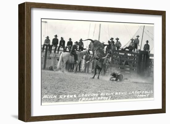 Thrown Bull-Rider, Montana-null-Framed Premium Giclee Print