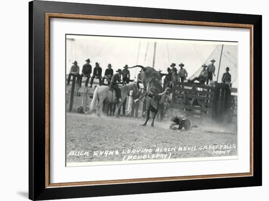 Thrown Bull-Rider, Montana-null-Framed Premium Giclee Print