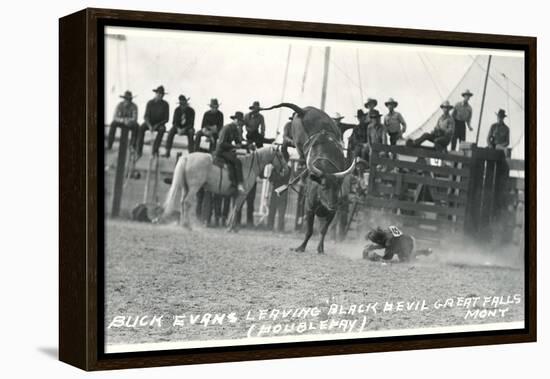 Thrown Bull-Rider, Montana-null-Framed Stretched Canvas