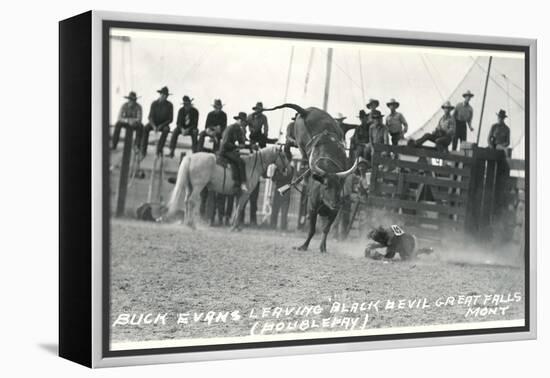 Thrown Bull-Rider, Montana-null-Framed Stretched Canvas