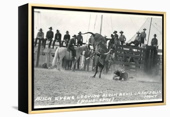 Thrown Bull-Rider, Montana-null-Framed Stretched Canvas