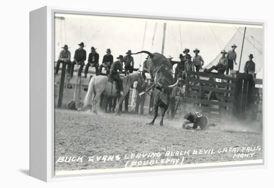 Thrown Bull-Rider, Montana-null-Framed Stretched Canvas