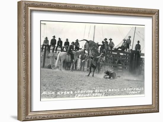 Thrown Bull-Rider, Montana-null-Framed Art Print