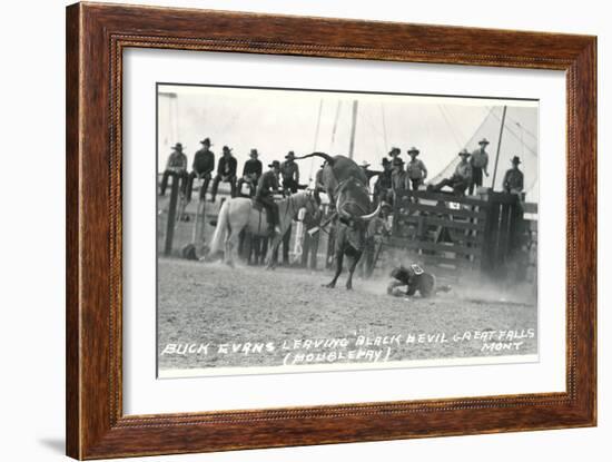 Thrown Bull-Rider, Montana-null-Framed Art Print
