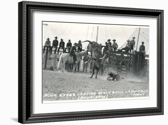 Thrown Bull-Rider, Montana-null-Framed Art Print