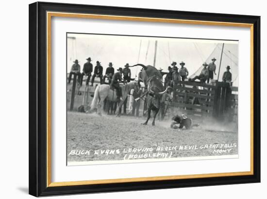 Thrown Bull-Rider, Montana-null-Framed Art Print