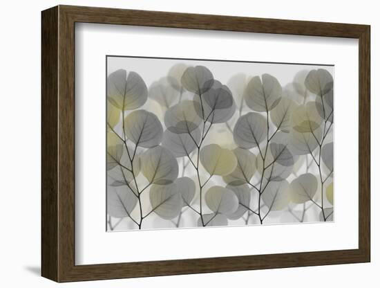 Thru The Brush-Albert Koetsier-Framed Photographic Print