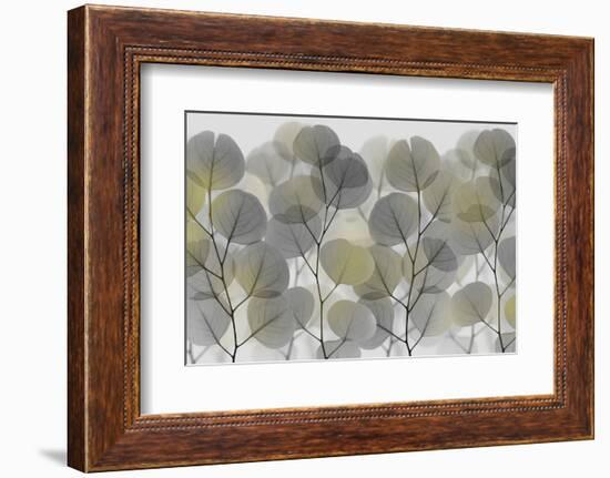 Thru The Brush-Albert Koetsier-Framed Photographic Print