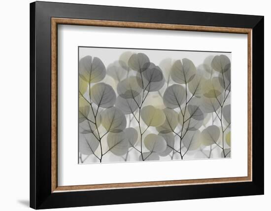 Thru The Brush-Albert Koetsier-Framed Photographic Print