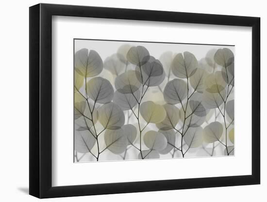 Thru The Brush-Albert Koetsier-Framed Photographic Print