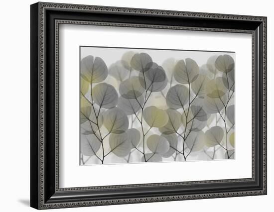 Thru The Brush-Albert Koetsier-Framed Photographic Print