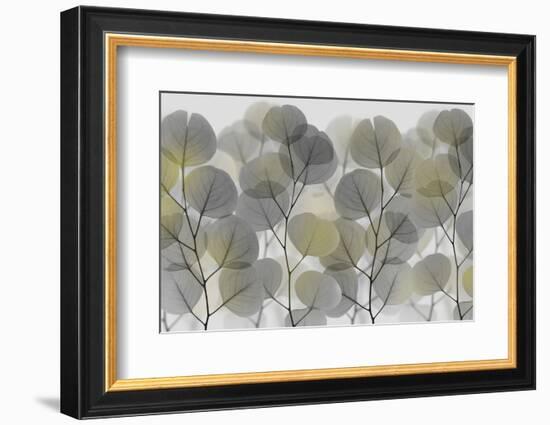 Thru The Brush-Albert Koetsier-Framed Photographic Print