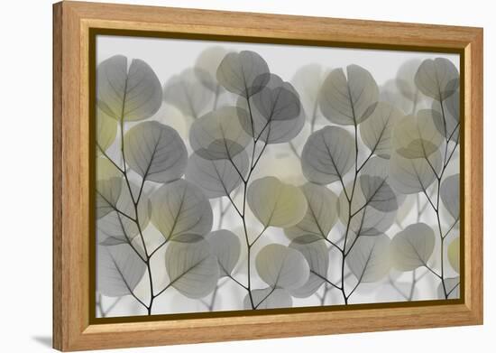 Thru The Brush-Albert Koetsier-Framed Stretched Canvas