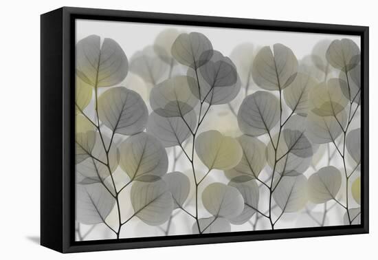 Thru The Brush-Albert Koetsier-Framed Stretched Canvas