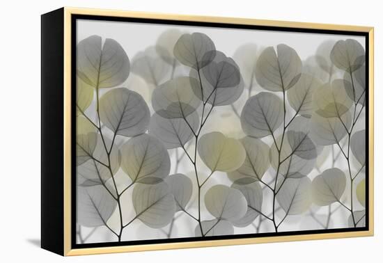 Thru The Brush-Albert Koetsier-Framed Stretched Canvas