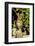 Thrush, Isles of Scilly, England, United Kingdom, Europe-Robert Harding-Framed Photographic Print