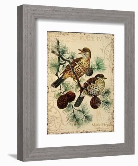 Thrush-Kate Ward Thacker-Framed Giclee Print