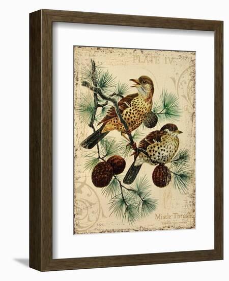 Thrush-Kate Ward Thacker-Framed Giclee Print