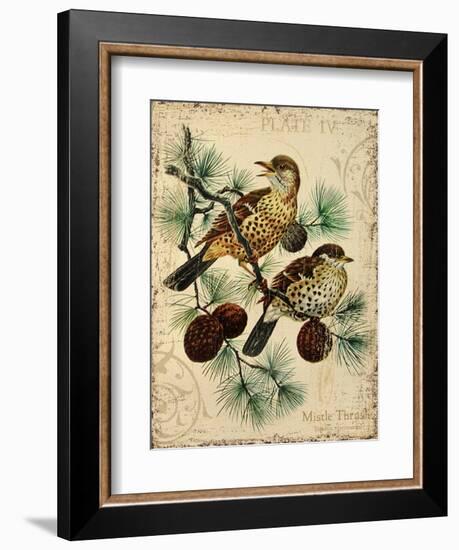 Thrush-Kate Ward Thacker-Framed Giclee Print