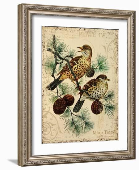 Thrush-Kate Ward Thacker-Framed Giclee Print