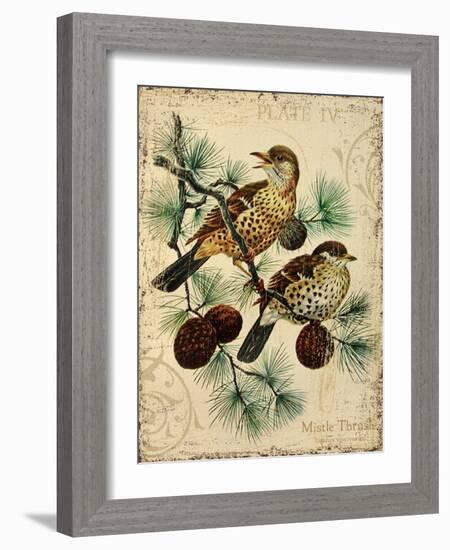 Thrush-Kate Ward Thacker-Framed Giclee Print