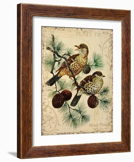 Thrush-Kate Ward Thacker-Framed Giclee Print